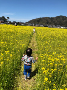 20190515094709 コンテスト スズキ販売労働組合 北陸支部 松本千恵 菜の花畑で散歩